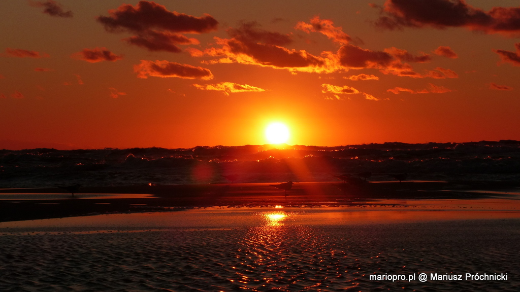 2018.06.29_-_109_Dbki